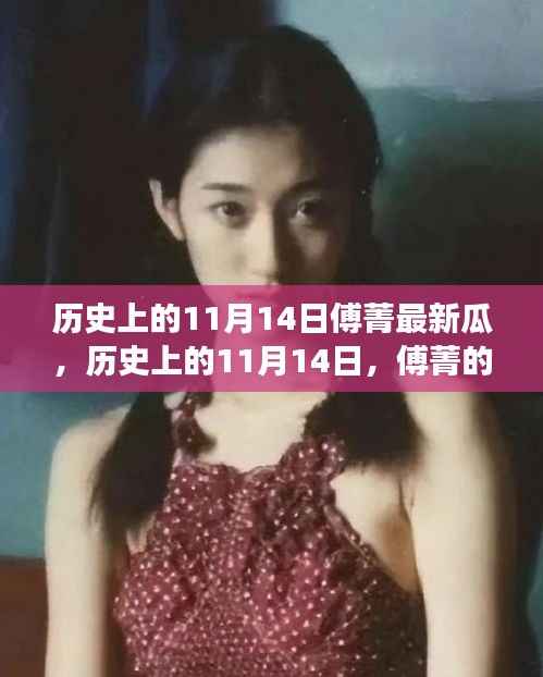 历史上的11月14日傅菁的成长之旅,励志与自信的蜕变之路