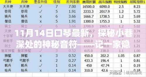 探秘小巷深处的口琴魅力,一家特色小店的神秘音符之旅