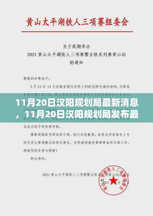 11月20日汉阳规划局最新消息，11月20日汉阳规划局发布最新规划动态