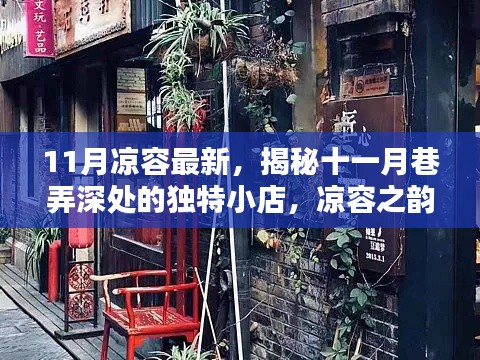 揭秘十一月巷弄深处的独特小店,凉容之韵的十一月新貌