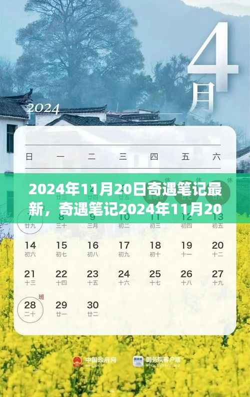 2024年11月20日奇遇笔记最新任务攻略,全任务完成与技能学习指南(适合初学者与进阶用户)