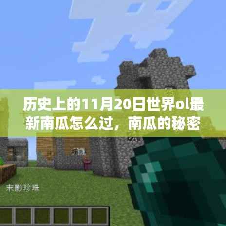 探寻南瓜的秘密,自然美景探险之旅与内心的宁静平和之路