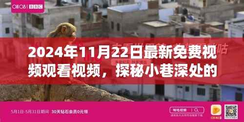 探秘繁华背后的小巷宝藏,免费视频盛宴开启!