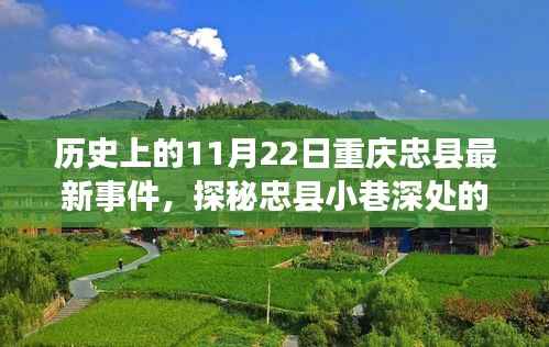 忠县小巷美食盛宴,历史与味蕾的双重体验——11月22日最新事件揭秘