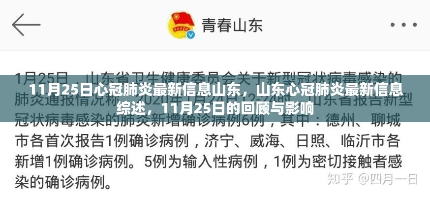 山东新冠肺炎最新信息综述,11月25日回顾与影响分析