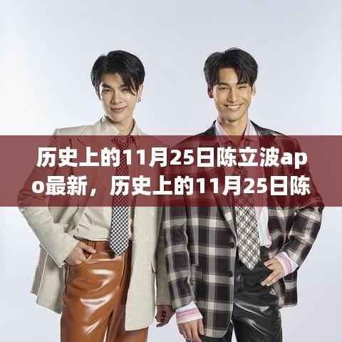 历史上的11月25日陈立波apo最新消息,特性、体验、竞品对比及用户群体深度分析