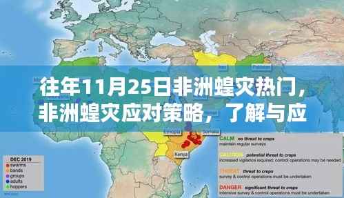 非洲蝗灾应对策略详解,从入门到进阶的指南与指南的重要性分析