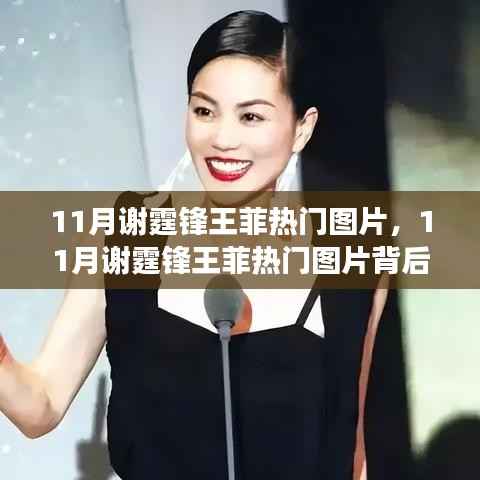 谢霆锋王菲11月热门图片揭秘,时尚与情感的聚焦之旅