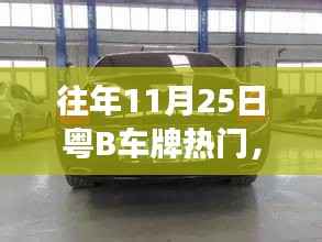 往年11月25日粤B车牌热门探秘,深圳车牌市场的风云变幻解读