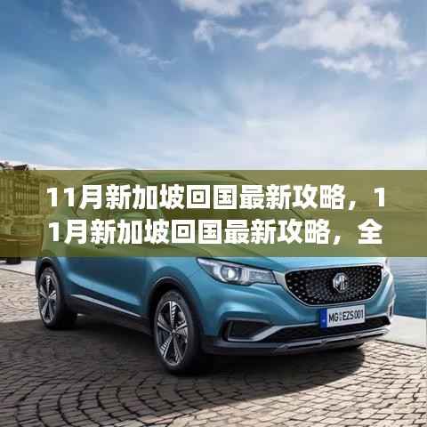 全面解读,11月新加坡回国攻略,特性、体验与竞品对比分析