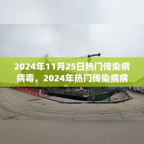 深度解析,2024年热门传染病病毒背景、事件与影响