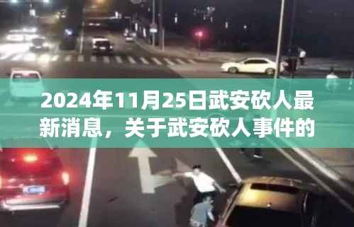 武安砍人事件最新进展报道(2024年11月25日更新)