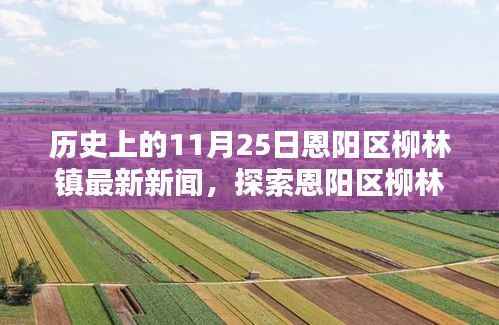 恩阳区柳林镇历史新闻回顾，探索历史上的11月25日新闻与获取新闻的步骤指南