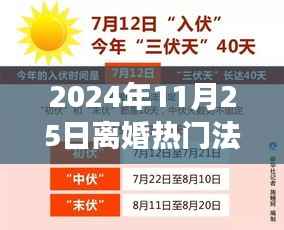 深度解析2024年离婚法规变迁,热门法规下的离婚体验与考量
