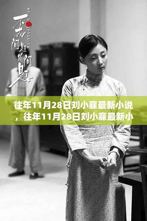 往年11月28日刘小寐最新小说,深度解读与观点碰撞
