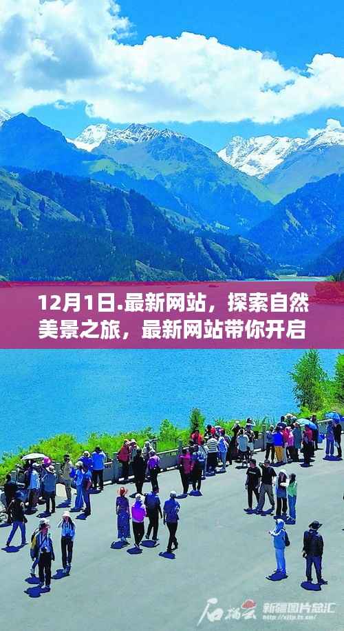 最新网站带你开启冬日自然美景之旅,探寻宁静心灵的旅程