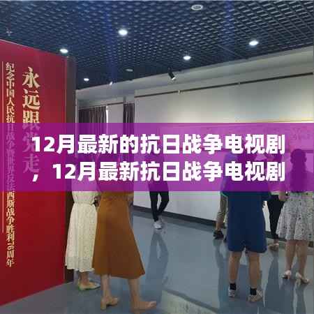 12月最新抗日战争电视剧全解析，历史与艺术的完美融合之旅