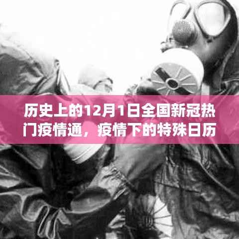 12月1日特殊日历,疫情下的温馨抗疫故事与全国新冠热门疫情通回顾