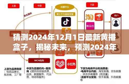 揭秘未来黄播盒子趋势,预测2024年黄播盒子的新动向与发展揭秘