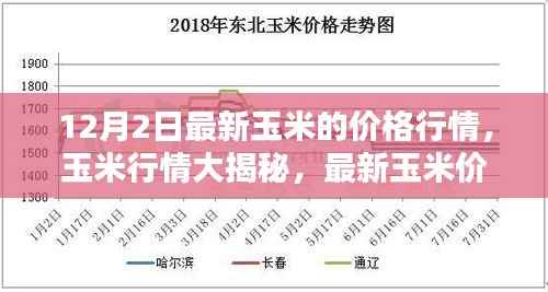 最新玉米行情大揭秘,价格走势分析与预测(12月2日更新)