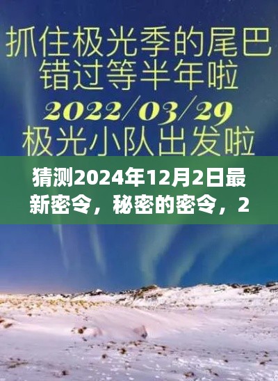 探秘2024年12月2日最新密令，温馨探秘之旅
