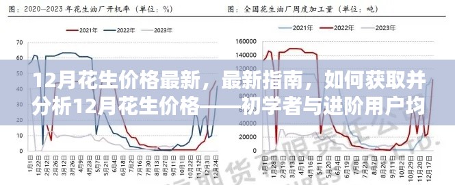 12月花生价格最新指南,获取与分析方法,适合初学者与进阶用户参考