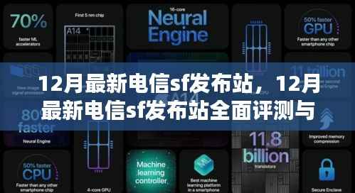 最新电信SF发布站评测与介绍,全面洞悉12月最新动态
