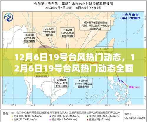 12月6日19号台风热门动态全面解析，特性、体验、竞品对比与用户洞察