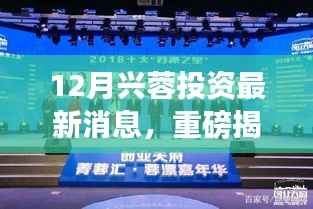 兴蓉投资最新动态揭秘，重磅消息一网打尽（12月版）
