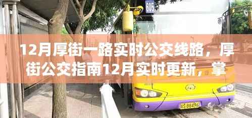 厚街公交指南,最新实时更新线路攻略,畅行无阻的公交之旅🚌