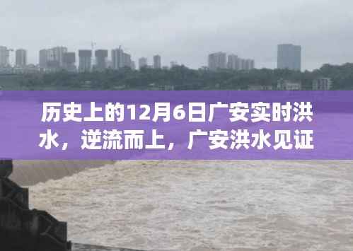 xingjirufei 第14页