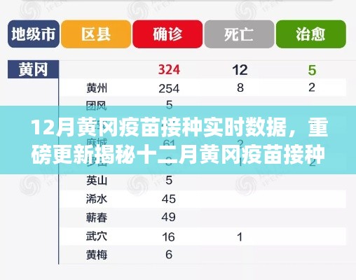 揭秘十二月黄冈疫苗接种实时数据背后的故事