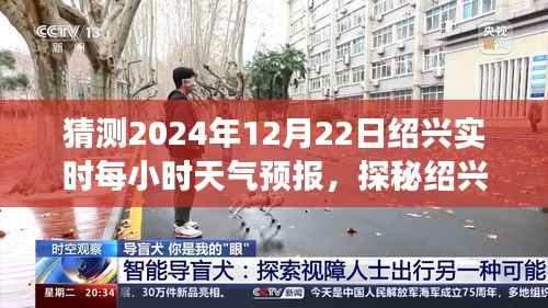 探秘绍兴小巷深处的天气秘境,2024年12月22日绍兴天气预报与美食之旅的神秘体验