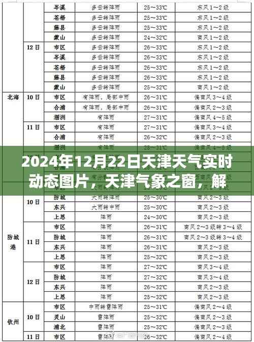 天津气象之窗，解读天津天气实时动态图片背后的故事（2024年12月22日实时更新）