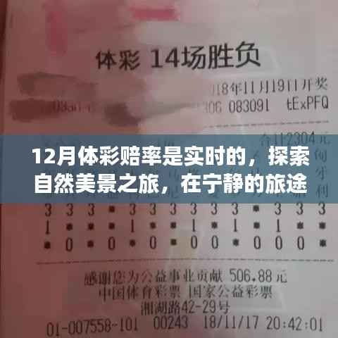 十二月体彩赔率实时探索，自然美景之旅中的真实自我探索之旅