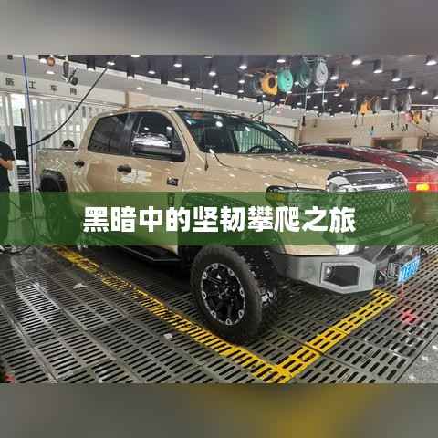 黑暗中的坚韧攀爬之旅