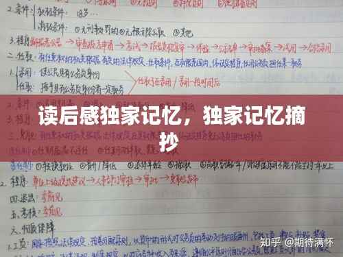 读后感独家记忆,独家记忆摘抄