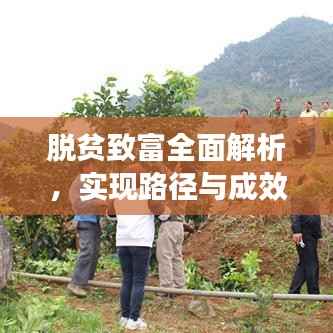 脱贫致富全面解析，实现路径与成效探讨