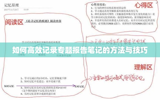 如何高效记录专题报告笔记的方法与技巧