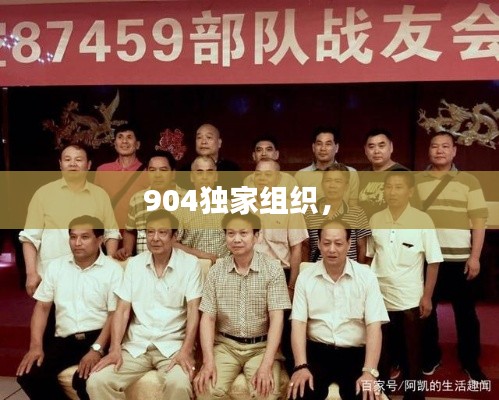 904独家组织,