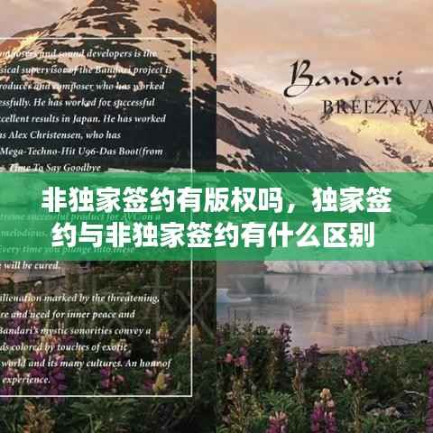 非独家签约有版权吗,独家签约与非独家签约有什么区别