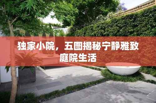 独家小院,五图揭秘宁静雅致庭院生活