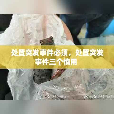 处置突发事件必须,处置突发事件三个慎用