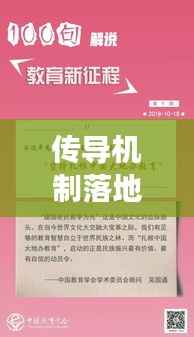 传导机制落地执行,构建高效执行体系的核心秘诀