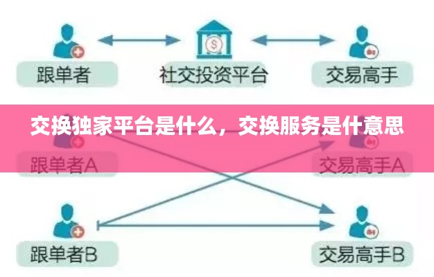 交换独家平台是什么,交换服务是什意思