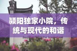 颍阳独家小院,传统与现代的和谐交融之典范