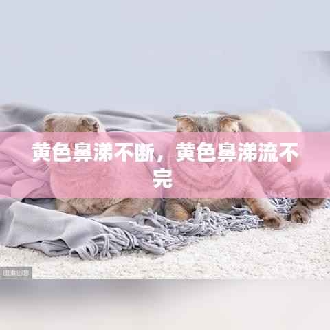 黄色鼻涕不断，黄色鼻涕流不完 