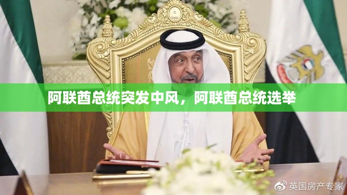 阿联酋总统突发中风,阿联酋总统选举