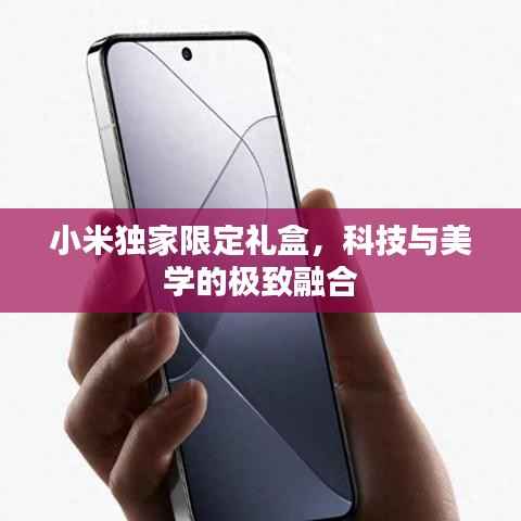 小米独家限定礼盒,科技与美学的极致融合