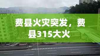 费县火灾突发，费县315大火 